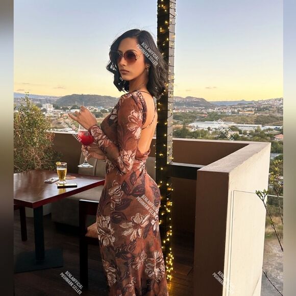 NWT ZARA PRINTED TULLEβDRESS Brown Winter Floral - Picture 4 of 12